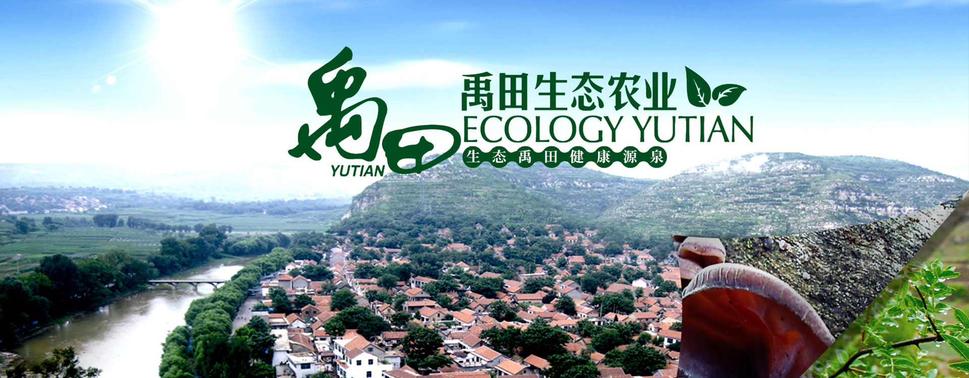 山東凱信重工機械有限公司